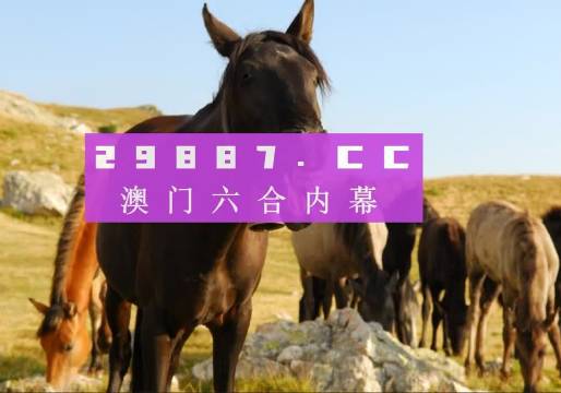 管家婆必開一肖一碼，澳門精準(zhǔn)分析與預(yù)測，管家婆必開一肖一碼，澳門精準(zhǔn)分析與預(yù)測揭秘