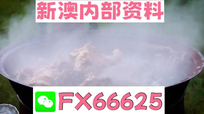 新澳全年免費(fèi)資料大全，一站式獲取優(yōu)質(zhì)資源指南，新澳全年優(yōu)質(zhì)資源免費(fèi)獲取指南