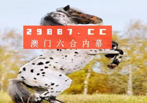探索澳彩歷史開獎(jiǎng)結(jié)果，回顧與預(yù)測(cè)（2023年），回顧與預(yù)測(cè)，澳彩歷史開獎(jiǎng)結(jié)果探索（2023年）