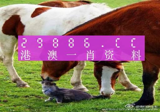新奧門一肖一碼，揭秘精準(zhǔn)預(yù)測(cè)的秘密，揭秘新澳門一肖一碼精準(zhǔn)預(yù)測(cè)的秘密