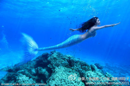 澳門美人魚最快開獎結(jié)果圖——揭秘?zé)衢T彩票游戲背后的秘密，澳門美人魚彩票開獎揭秘，最新結(jié)果圖與游戲背后秘密探索