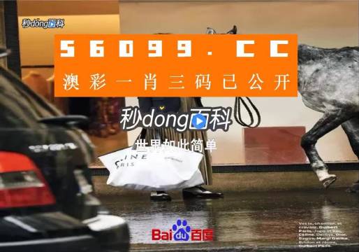 新澳一碼三中三資料，探索與解析，新澳一碼三中三資料解析與探索