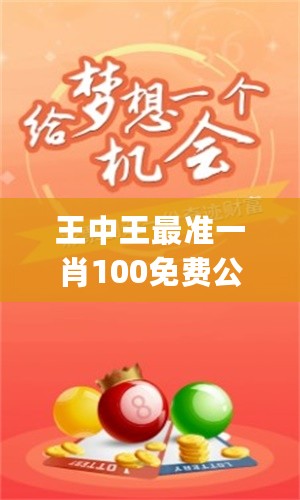 王中王一肖一嗎期期中，深度解析與探索，王中王一肖一，深度解析與探索期中的奧秘