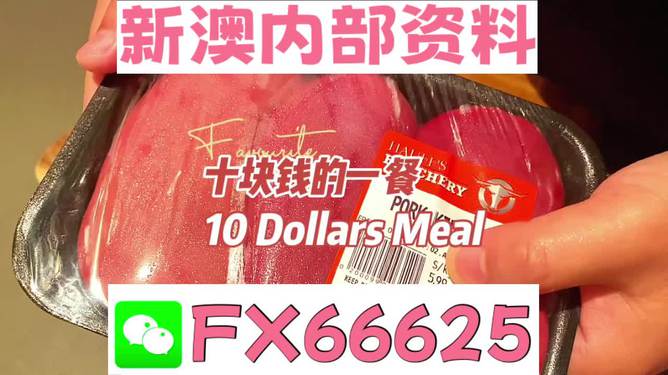 揭秘2025新澳精準資料免費大全——一站式獲取最新資源，揭秘2025新澳精準資料免費大全，最新資源一站式獲取