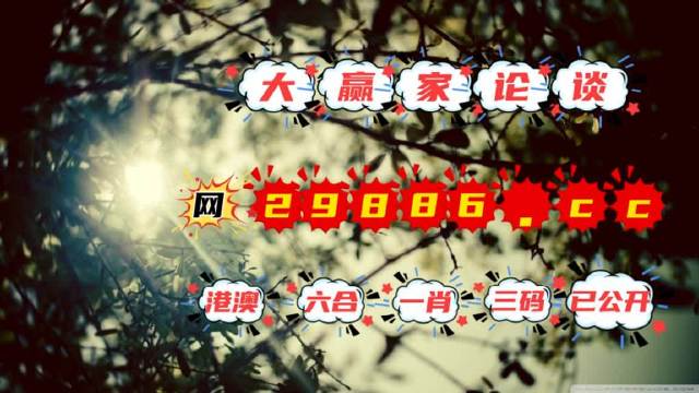 澳門今必開一肖一碼，深度解析與探索，澳門生肖一碼深度解析與探索