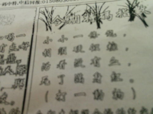 揭秘必中劉伯溫猜一生肖的神秘面紗，揭秘劉伯溫生肖預(yù)測背后的神秘面紗