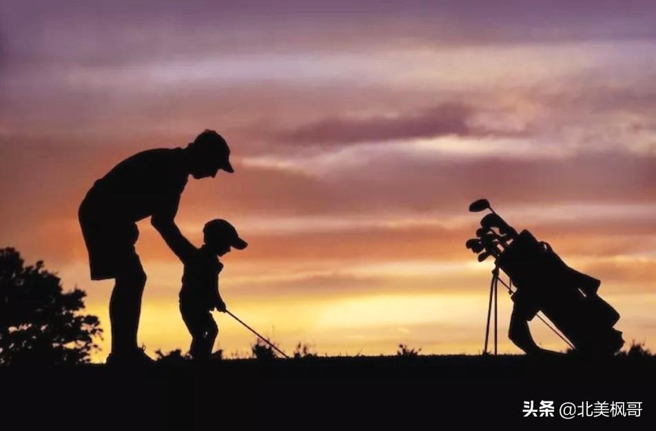 森林高手王中王與神秘生肖——深度解讀背后的故事與秘密，森林高手王中王與神秘生肖，故事背后的深度解讀與秘密探尋