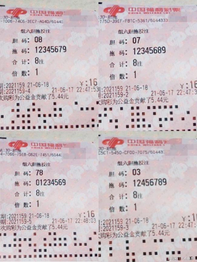 王中王四肖精選一肖新聞，揭秘背后的故事與趨勢(shì)，王中王四肖精選揭秘，背后的故事與趨勢(shì)聚焦一肖新聞