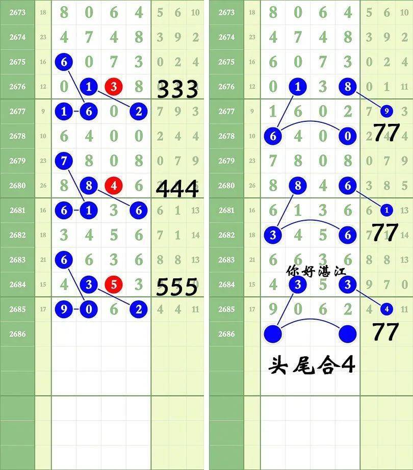 一肖三碼王中王絕密，揭秘背后的秘密與策略洞察，揭秘一肖三碼王中王絕密策略與背后秘密