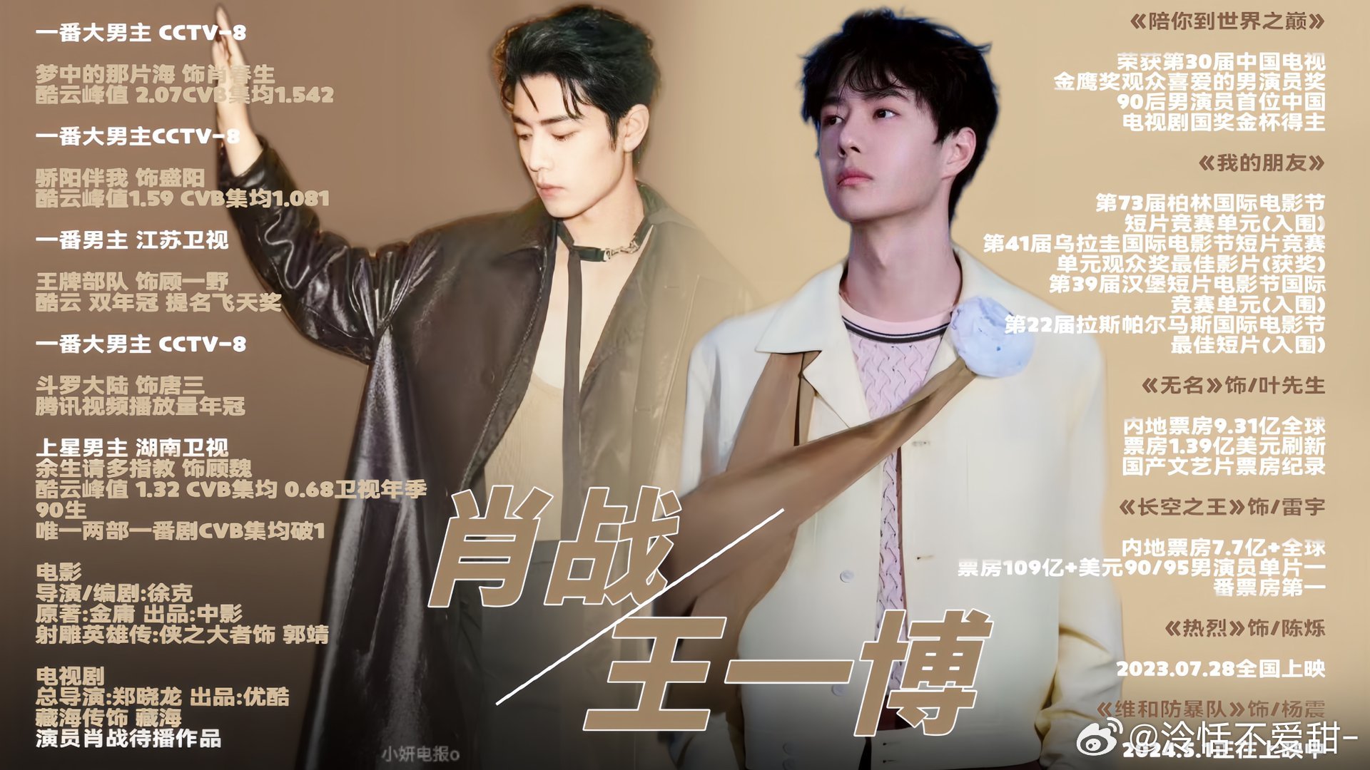 王中王一肖中特全年資料解析與SEO優(yōu)化策略，王中王一肖中特全年資料解析與SEO策略詳解