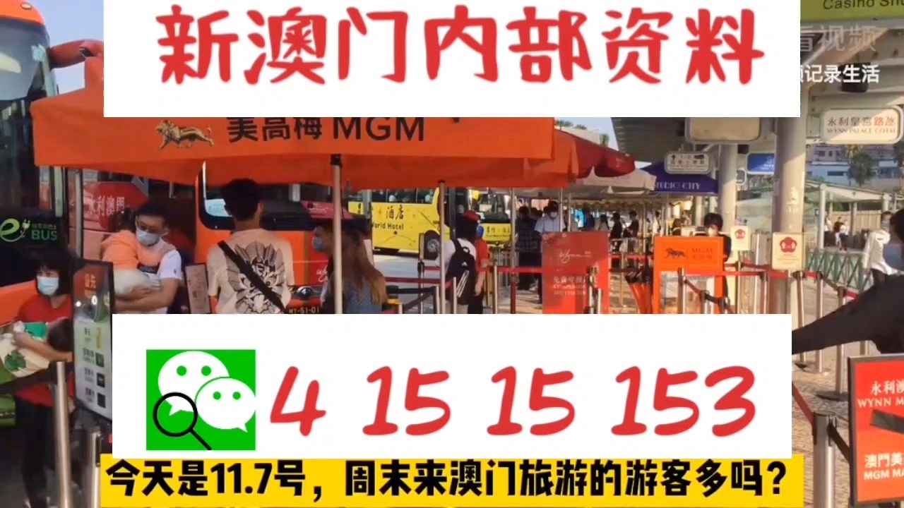 澳門六合最快開獎結(jié)果，最新開獎動態(tài)與技巧解析，澳門六合最新開獎動態(tài)、結(jié)果速遞與技巧解析