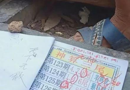 揭秘2025六開(kāi)彩天天免費(fèi)資料大全——獲取最新彩票資訊的寶藏之地，揭秘，2025六開(kāi)彩天天免費(fèi)資料大全——最新彩票資訊寶藏庫(kù)
