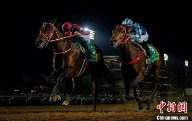 香港王中王一肖中特馬，探索背后的奧秘，香港王中王一肖中特馬背后的奧秘探索