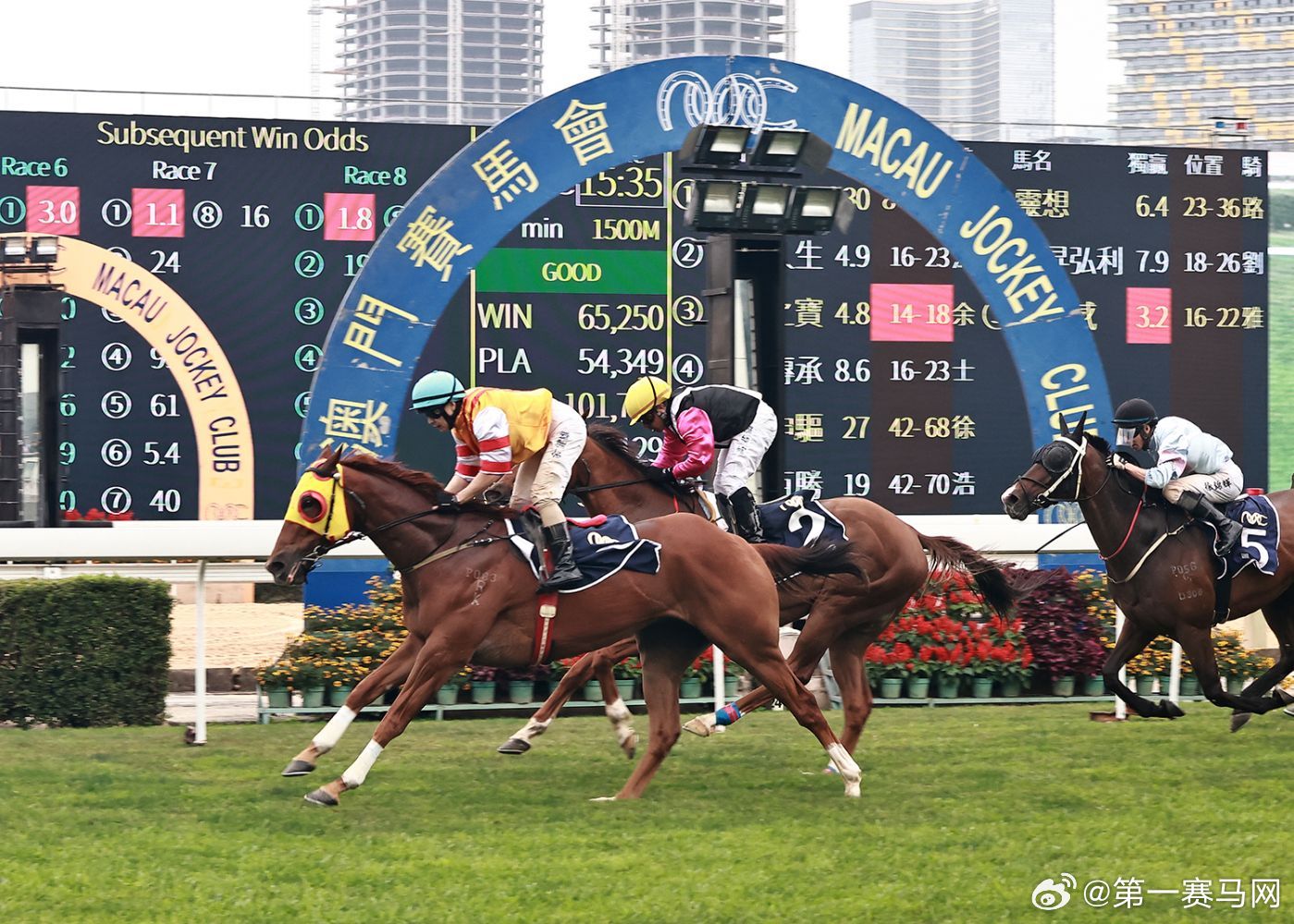 澳門馬今天開什么特馬——探索澳門賽馬世界的奧秘，澳門賽馬揭秘，今日特馬探索之旅
