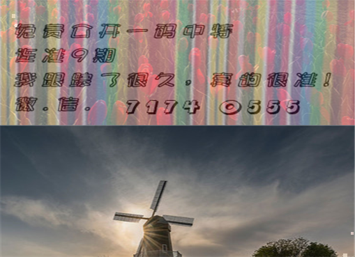王中王四肖三期必出一期，揭秘彩票背后的秘密策略與技巧，揭秘彩票策略與技巧，王中王四肖三期必出一期之道
