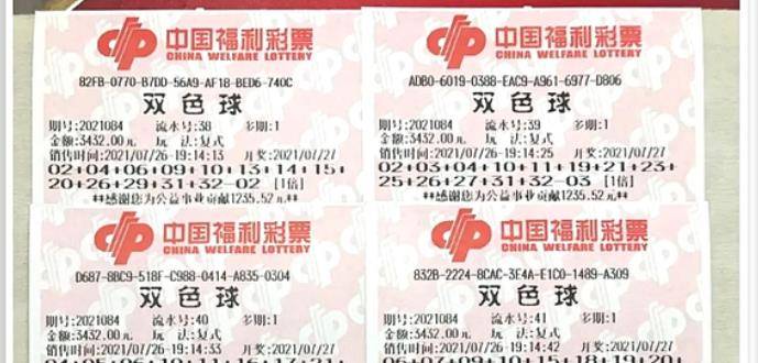 王中王084期指一生肖，解讀背后的秘密與生肖運(yùn)勢(shì)分析，王中王084期生肖揭秘，秘密解讀與運(yùn)勢(shì)展望