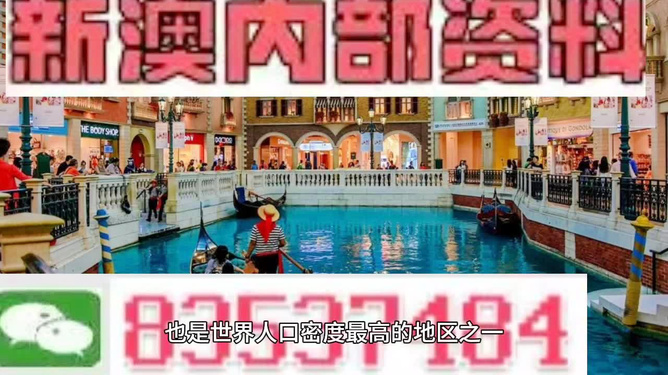 澳門王中王六碼新澳門，探索與解析，澳門王中王六碼新澳門，深度探索與解析