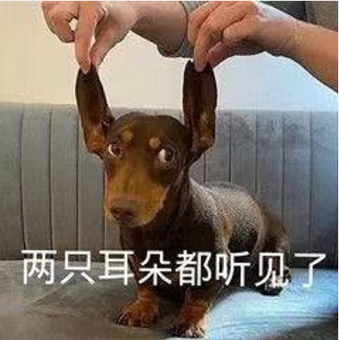 王中王四不象必中一肖，揭秘背后的秘密與策略，揭秘王中王四不象必中一肖背后的秘密與策略之道