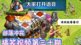 王中王011期指一生肖，深度解析與SEO優(yōu)化文章，王中王011期生肖深度解析與SEO優(yōu)化策略探討