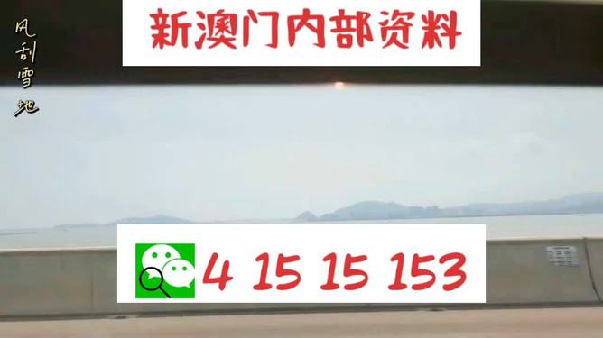 新澳2025最新資料生肖，深度解析與預(yù)測(cè)展望，新澳2025最新生肖資料深度解析與未來(lái)預(yù)測(cè)展望