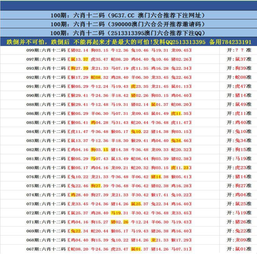 澳門無錯(cuò)九肖今日搜狗，探索與解析，澳門無錯(cuò)九肖今日搜狗，深度解析與探索
