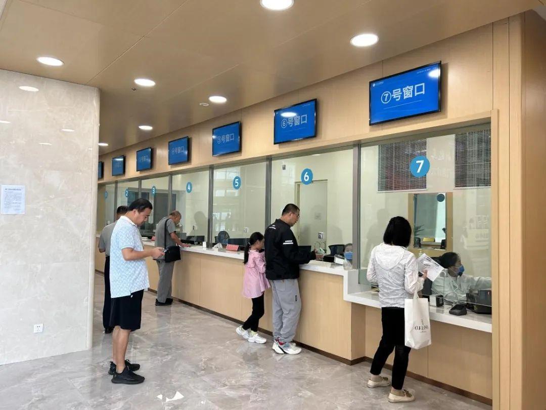 新門(mén)內(nèi)部資料免費(fèi)下載——探索與揭秘，新門(mén)內(nèi)部資料揭秘，免費(fèi)下載與探索之旅