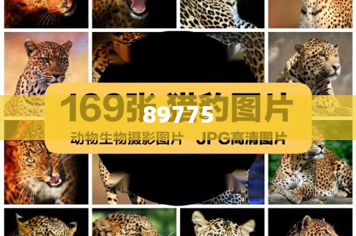 關(guān)于新奧歷史開獎記錄的最新信息，今天公布了嗎？，新奧歷史開獎記錄最新信息公布了嗎？