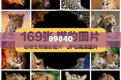 揭秘新奧集團，展望未來的最新資料，探尋五不中的奧秘，新奧集團未來展望，探尋五不中的奧秘與揭秘最新發(fā)展資料
