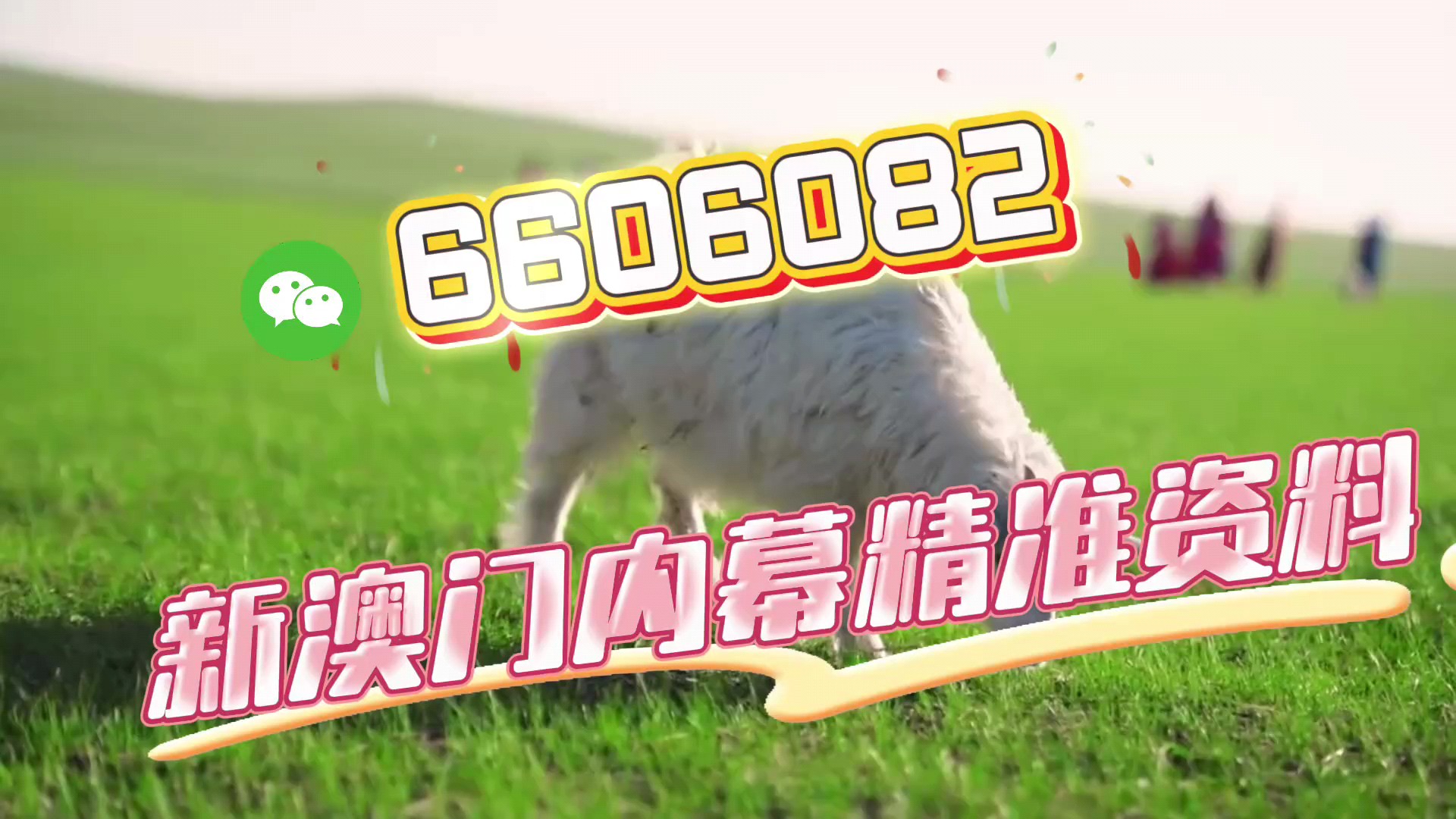 新澳門今晚必開一肖一特——深度解析與預(yù)測，澳門今晚生肖預(yù)測，深度解析與獨家預(yù)測