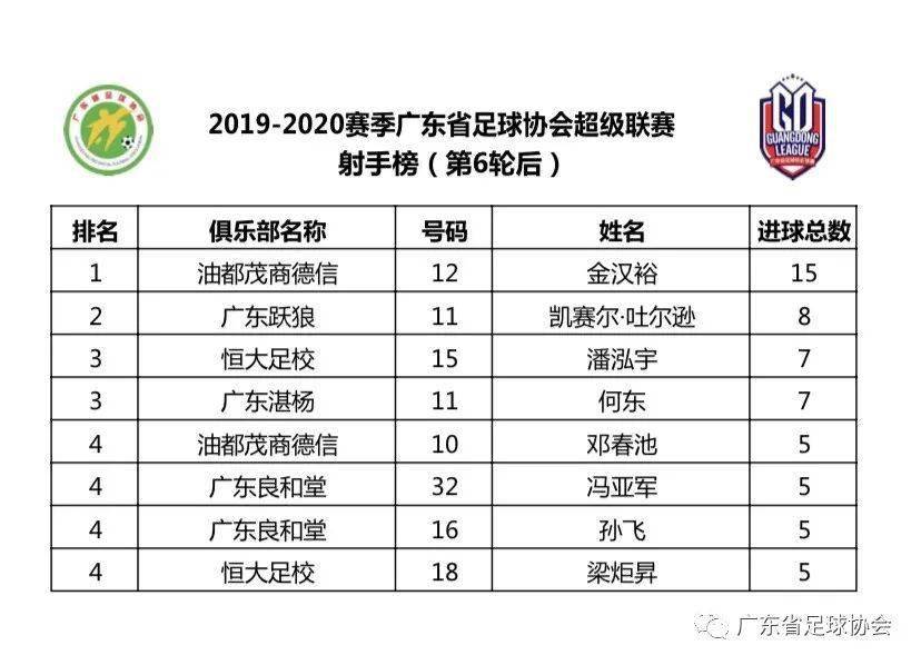 澳門六開獎結(jié)果2020年回顧與解析，澳門六開獎結(jié)果回顧與解析，2020年數(shù)據(jù)深度解讀