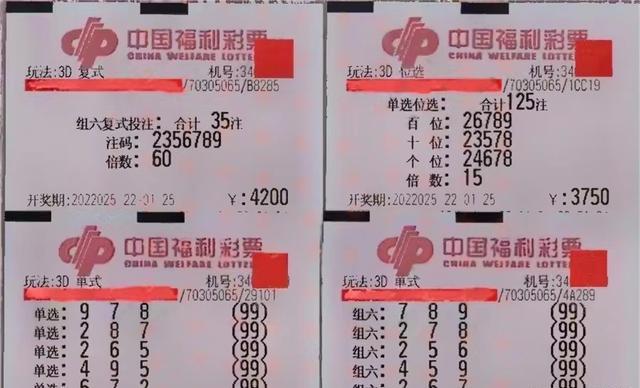 王中王025期指一生肖，揭秘背后的奧秘與生肖文化深度解析，王中王025期生肖揭秘，奧秘背后的文化與深度解析