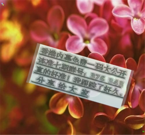 揭秘兩肖必中一肖王中王的秘密策略，揭秘兩肖必中一肖王中王的秘密策略，揭秘生肖彩票的必勝法則！