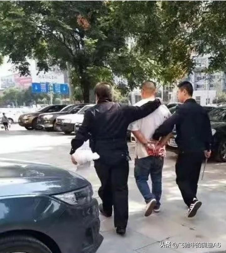 深度解析/回顧