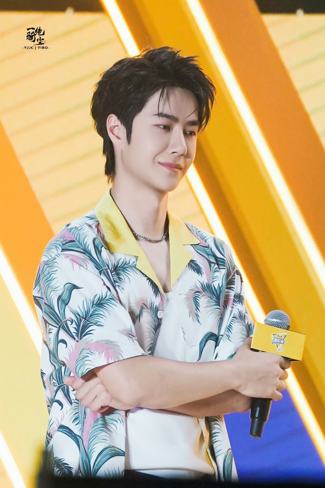 包租婆平特王中王一肖，揭秘角色魅力與背后的故事，揭秘包租婆平特王中王一肖的角色魅力與背后故事