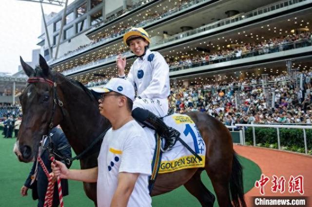香港特馬王資料免費(fèi)公開，深度解析與探索，香港特馬王資料深度解析與探索，免費(fèi)公開揭秘