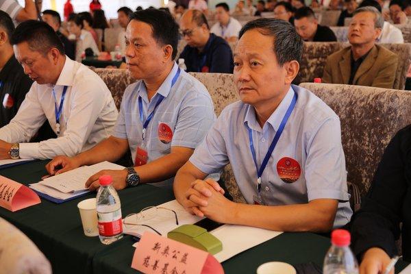 新奧精準(zhǔn)選免費提供，探索最佳選擇與無限可能，新奧精準(zhǔn)選，免費探索最佳選擇與無限可能