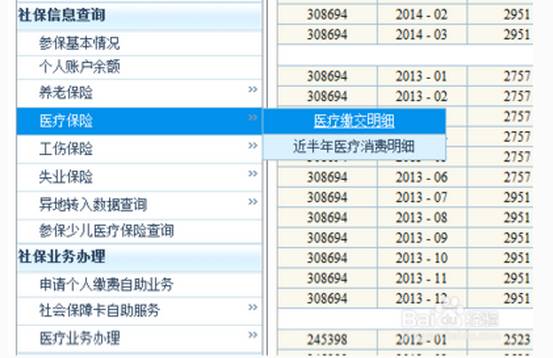 2025新澳門歷史記錄查詢完全指南，澳門歷史記錄查詢完全指南（2025版）