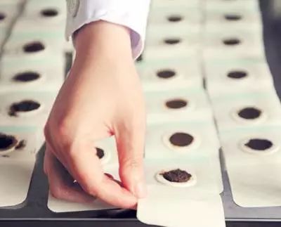 三伏貼，傳統(tǒng)中醫(yī)的獨特療法與現(xiàn)代應用，三伏貼，傳統(tǒng)中醫(yī)的獨特療法及其現(xiàn)代應用探索