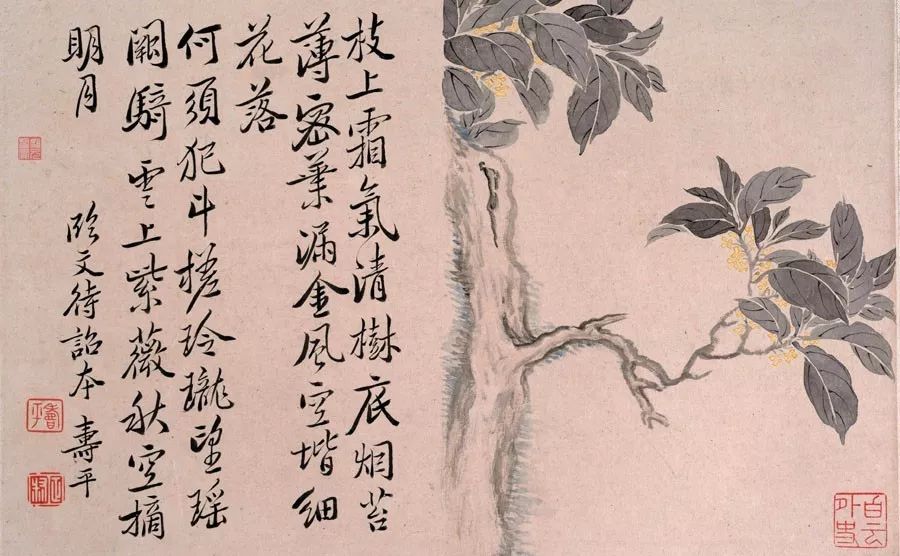 世外挑園，揭秘劉伯溫一肖的神秘魅力，揭秘劉伯溫一肖的神秘魅力，世外挑園之旅