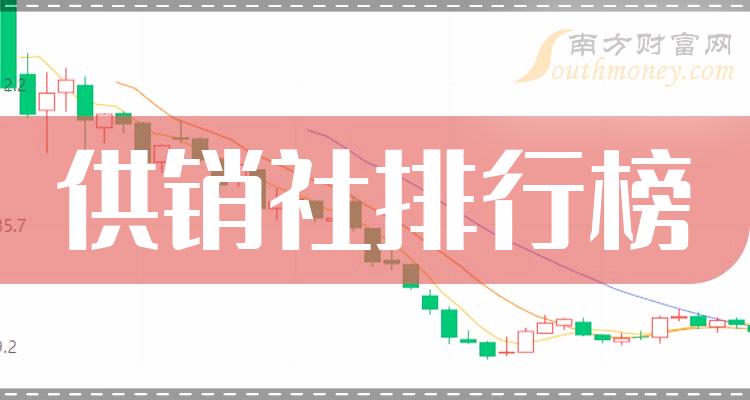 供銷概念股，解析與前景展望，供銷概念股，深度解析與未來(lái)前景展望