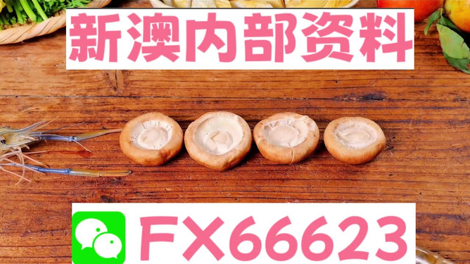 新澳全年免費資料大全——探索與學習資源的寶庫，新澳全年免費資料大全，探索與學習資源的終極寶庫