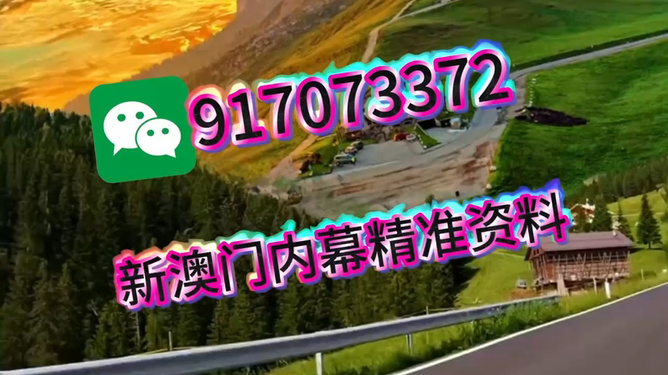 王中王一肖一中特，深度解析與SEO優(yōu)化策略，王中王一肖一中特深度解析與SEO優(yōu)化策略探討