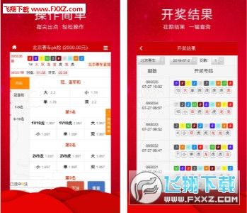王中王三肖必出一肖，深度解析與探索，王中王三肖必出一肖，深度解析與探索揭秘