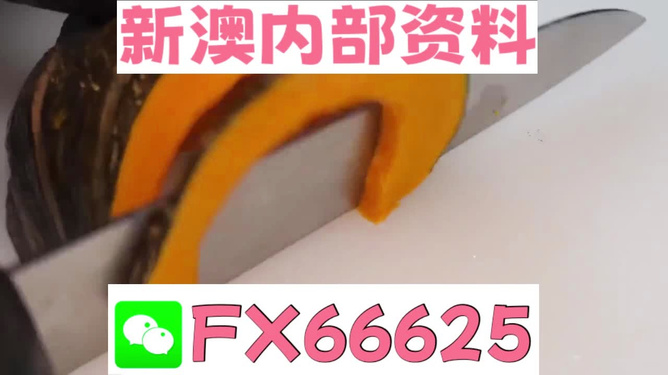 澳門管家婆，揭秘精準預測的秘密武器，澳門管家婆揭秘，精準預測的秘密武器全解析