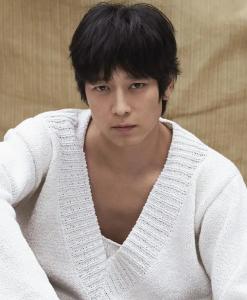 韓國男演員排行榜，璀璨星光閃耀熒屏，韓國男演員璀璨排行榜，星光閃耀熒屏