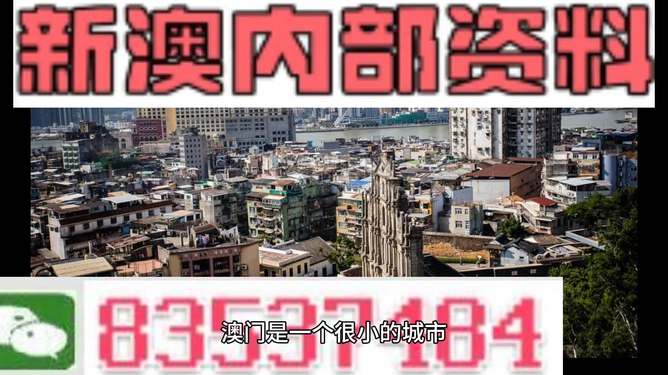 新澳門精準四肖期準，探索背后的秘密與策略，澳門精準四肖期背后的秘密與策略探索