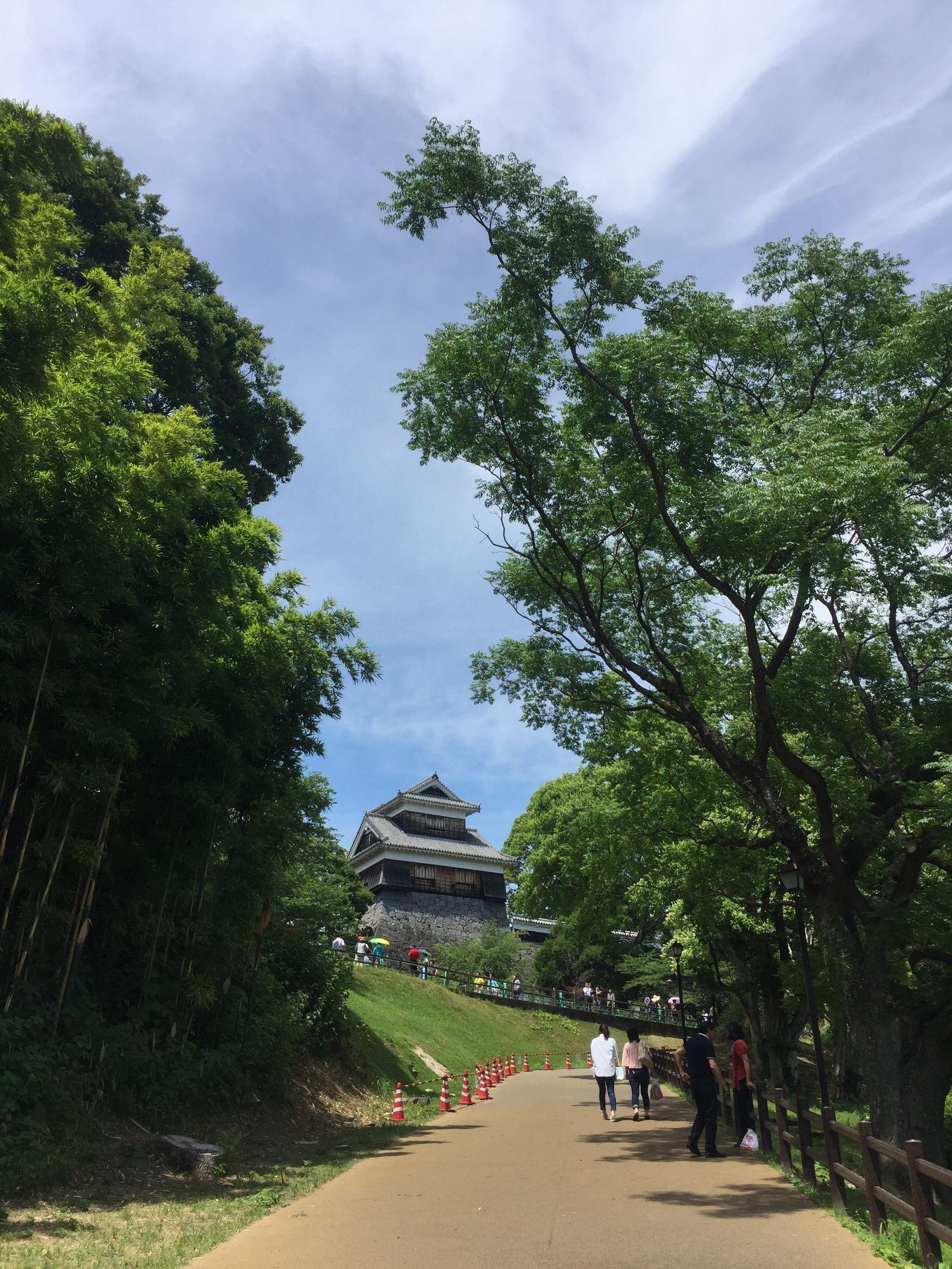 上海游輪旅游路線及價(jià)格詳解，上海游輪旅游路線與價(jià)格全面解析