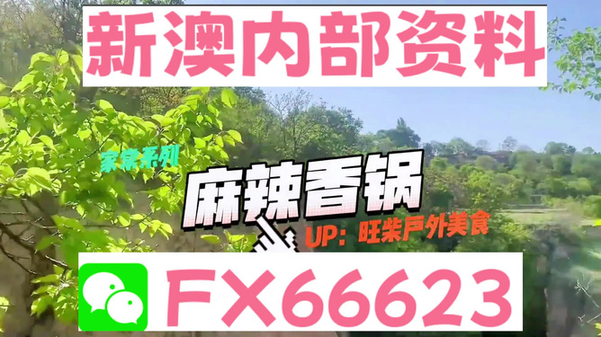 新澳資料最準(zhǔn)的網(wǎng)站，權(quán)威數(shù)據(jù)來(lái)源與精準(zhǔn)信息獲取指南，新澳資料最準(zhǔn)網(wǎng)站，權(quán)威數(shù)據(jù)來(lái)源與精準(zhǔn)信息獲取一站式指南