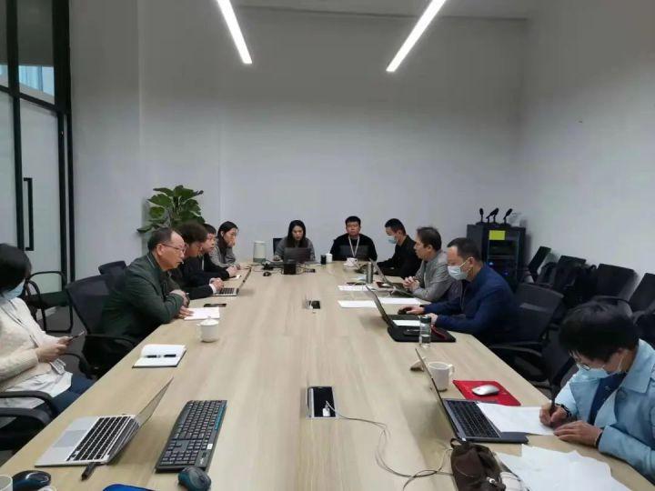 隆平高科股票股，投資潛力與市場前景分析，隆平高科股票投資潛力與市場前景深度解析