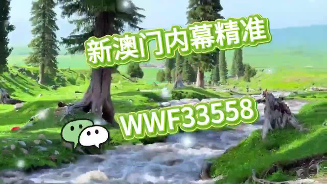 首選王中王打一生肖——揭秘生肖之王的獨特魅力，揭秘生肖之王獨特魅力，王中王所指生肖揭曉